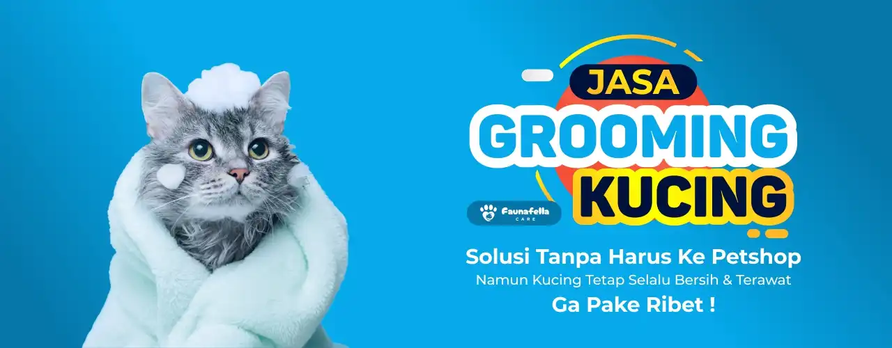Jasa Grooming Kucing