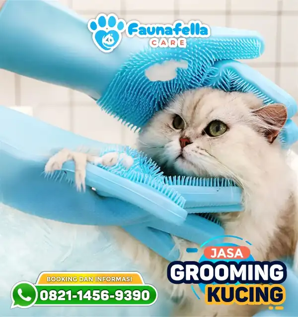 Alat Grooming