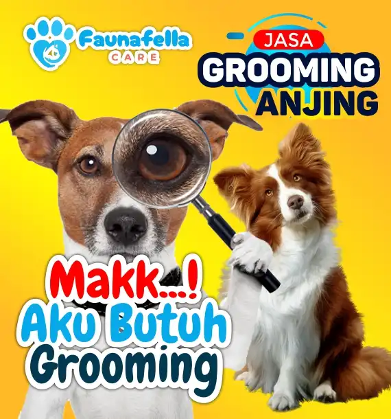 Anjing Butuh Grooming