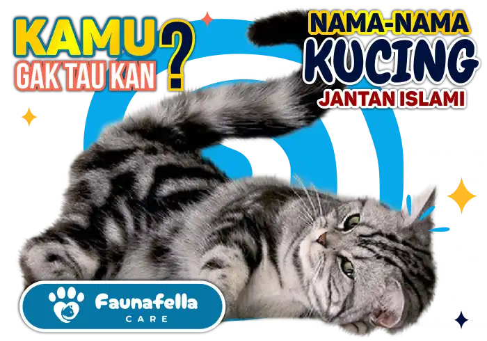 Arti Nama Islam Kucing