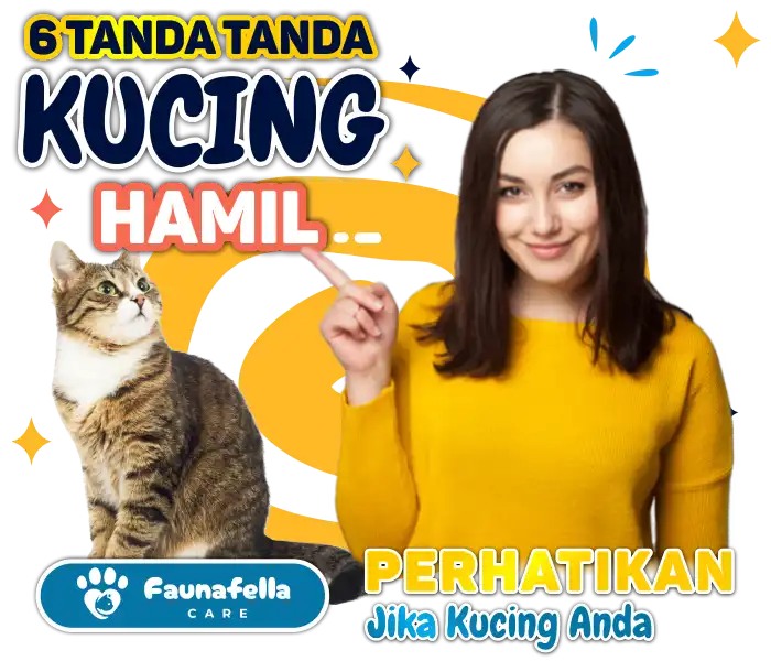 Cara Mengetahui Kucing Hamil