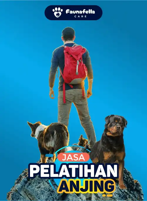 Dog Leader Pack