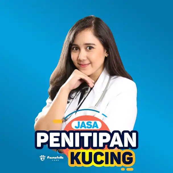 drh Rasi Sadra Rausanfikri