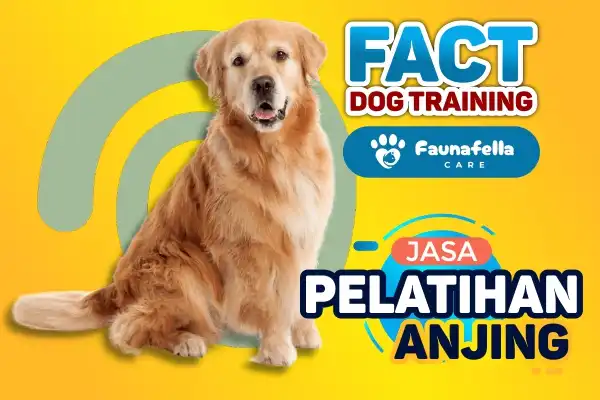 Fakta Pelatihan Anjing