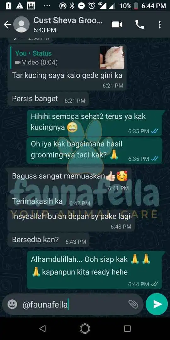 Harga Mandiin Kucing