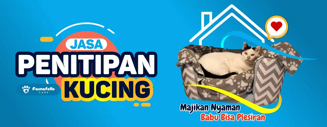 Hotel Kucing Murah