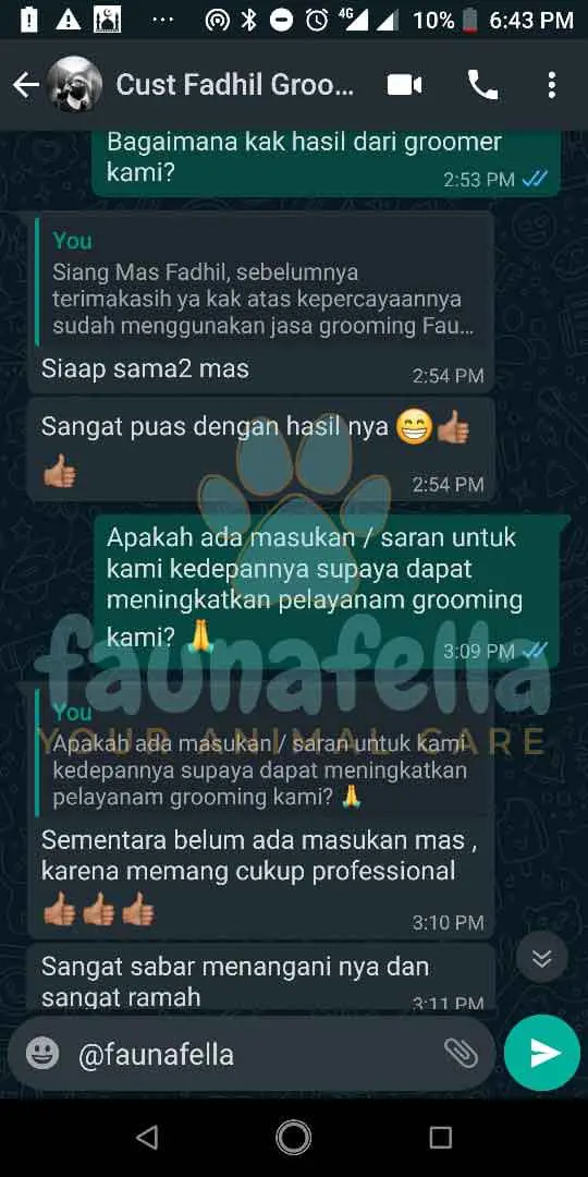 Jasa Grooming Kucing Terdekat