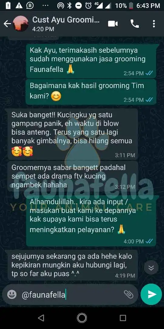 Jasa Mandiin Kucing