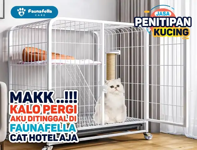 Kandang Hotel Kucing