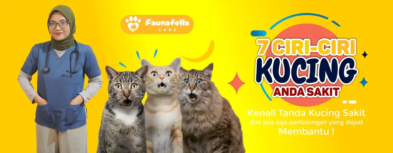 Kenali Sakit Kucing