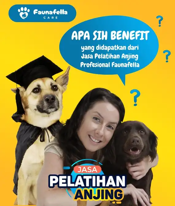 Keuntungan Mengikuti Dog Training