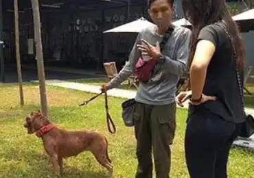 Kontrol Evaluasi Pelatihan