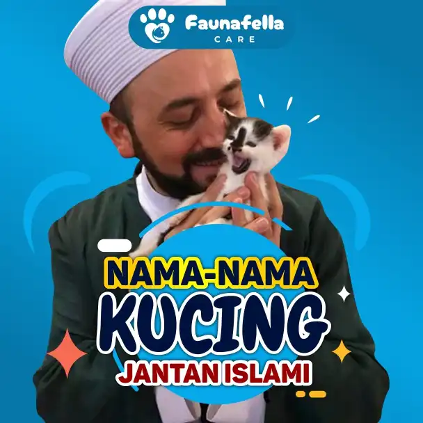 Kucing Islami