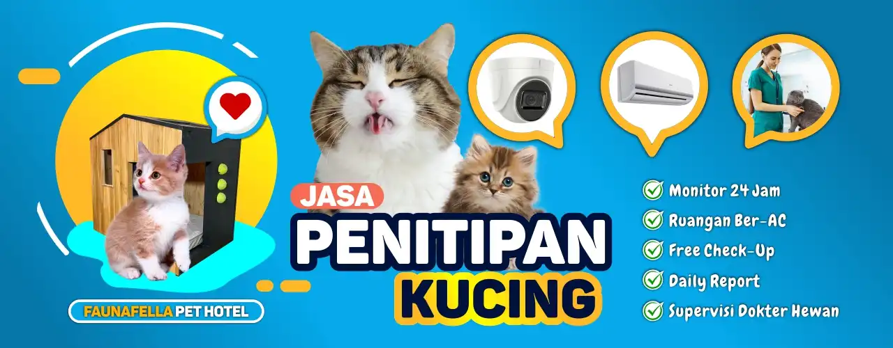 Monitoring Penitipan Kucing