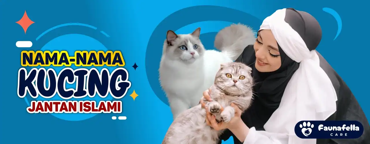 Nama Kucing Dari A-Z