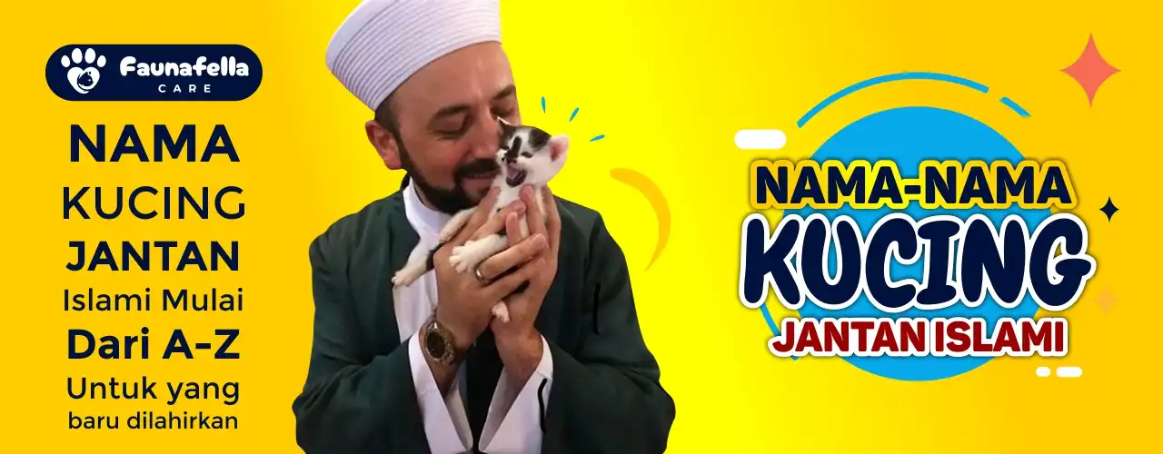 Nama Kucing Jantan Islami