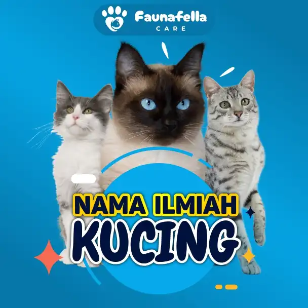 Nama Kucing Secara Biologis
