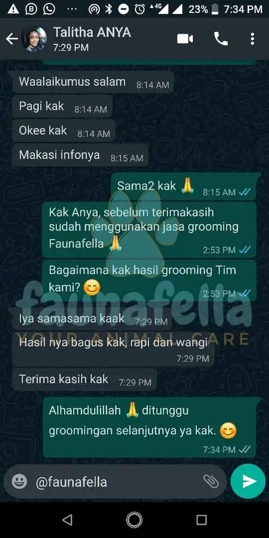 Paket Grooming Kucing