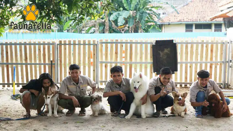 Pelatihan Anjing Jakarta