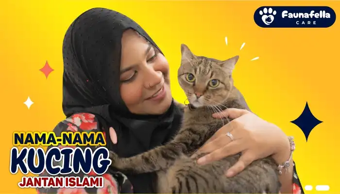 Rekomendatasi Nama Kucing Jantan Islam