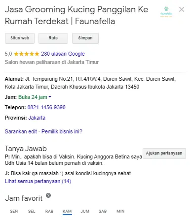 Review Google Grooming Kucing
