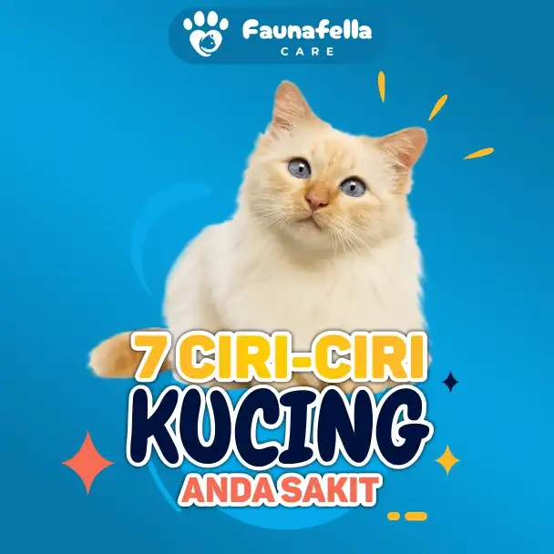 Tanda Kucing Sakit