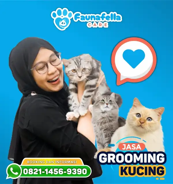 Team Grooming