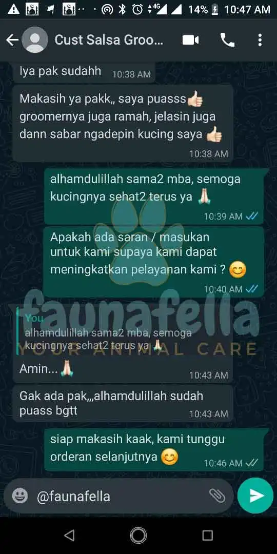 Tempat Mandiin Kucing Terdekat