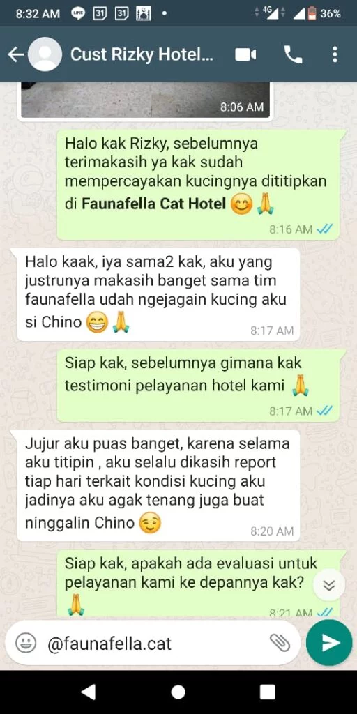 Testimoni Faunafella Cat Hotel