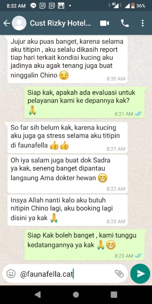 Testimoni Faunafella Cat Hotel