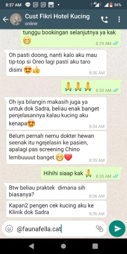 Testimoni Faunafella Cat Hotel
