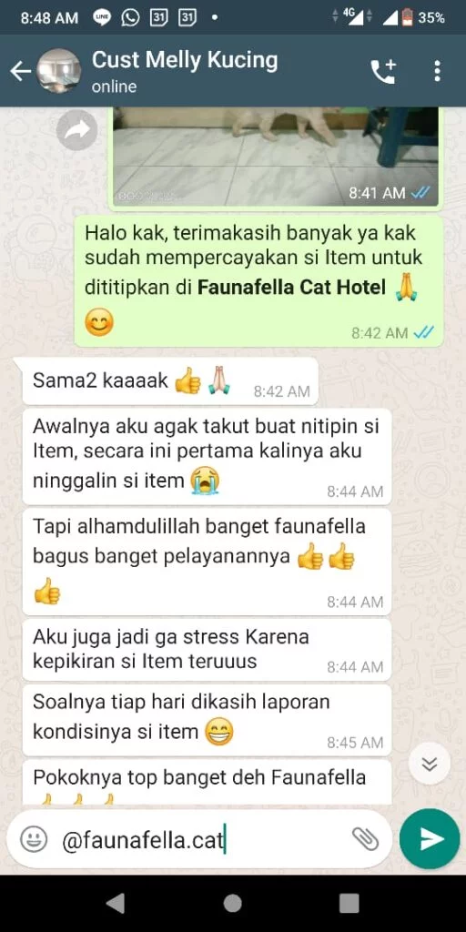 Testimoni Faunafella Cat Hotel