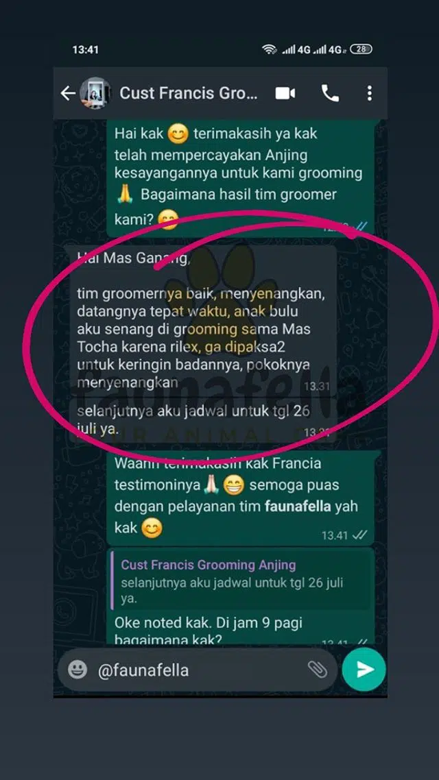 Grooming Anjing Testimoni