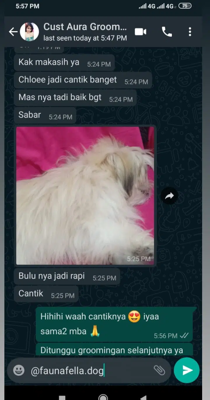 Testimoni Mandiin Anjing