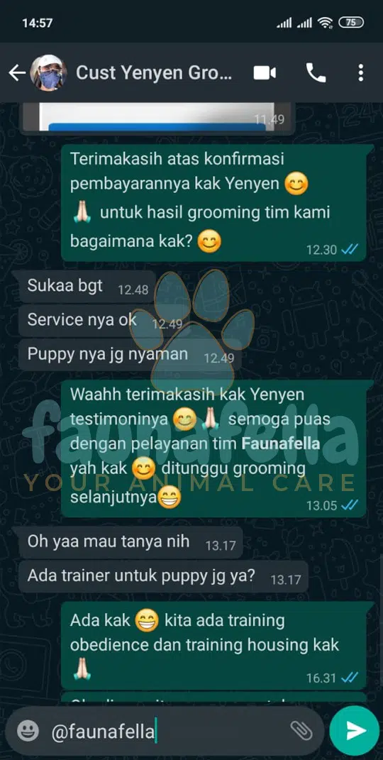 Jasa Mandi Anjing ke Rumah
