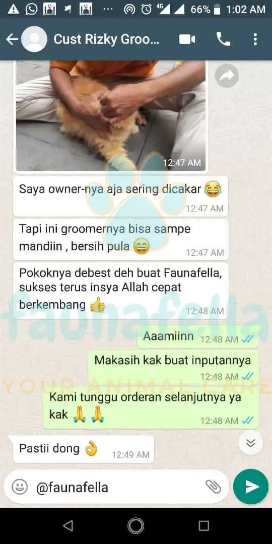 Testimoni Mandiin Kucing