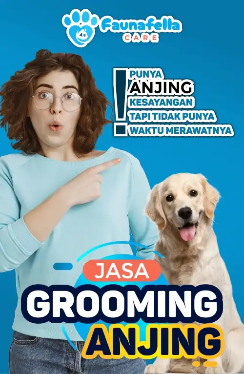 Tidak Punya Waktu Grooming Anjing