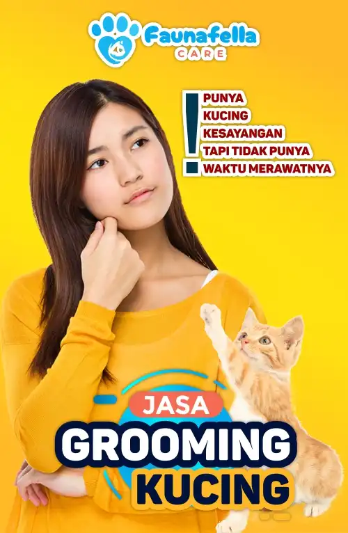 Tidak Punya Waktu Grooming