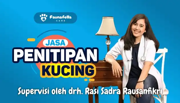 Vet Hotel Kucing
