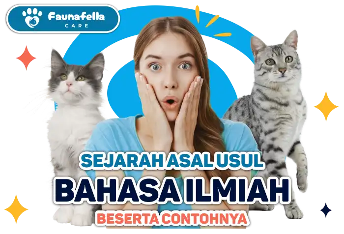 Apakah Nama Latin Kucing