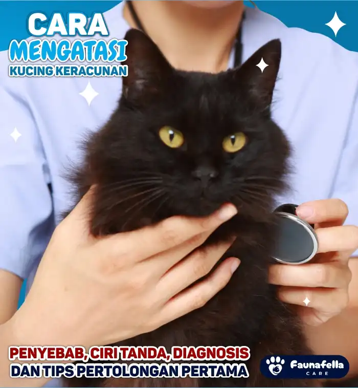 Ciri Tanda Kucing Keracunan