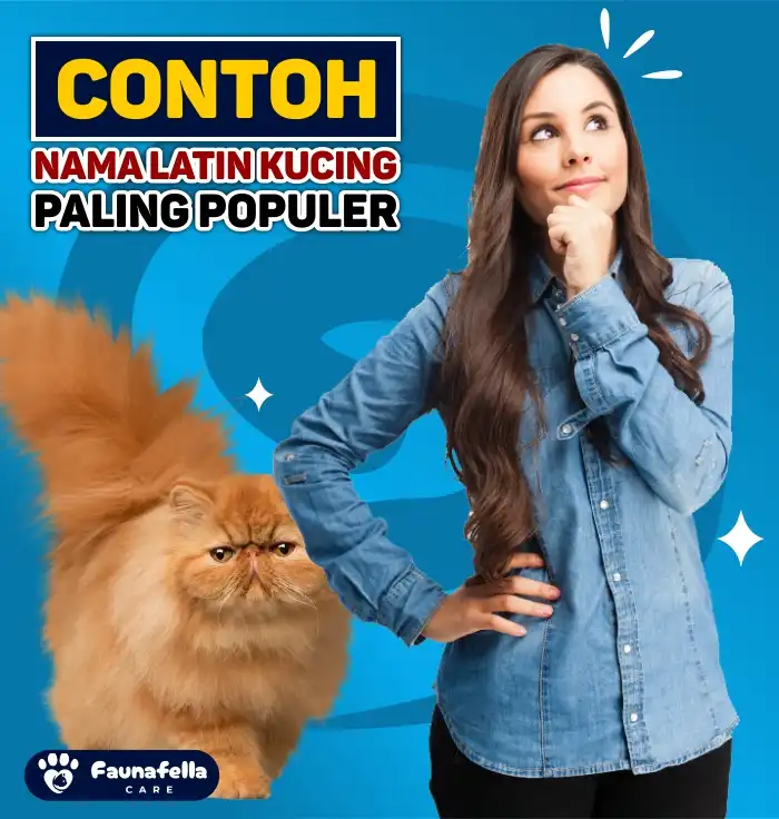 Contoh Nama Latin Kucing