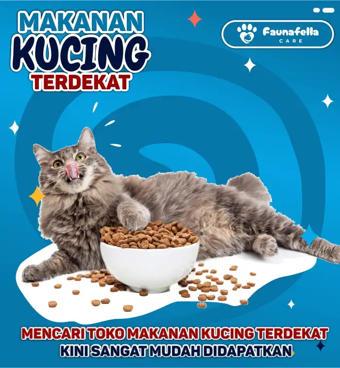 Harga Makanan Kucing