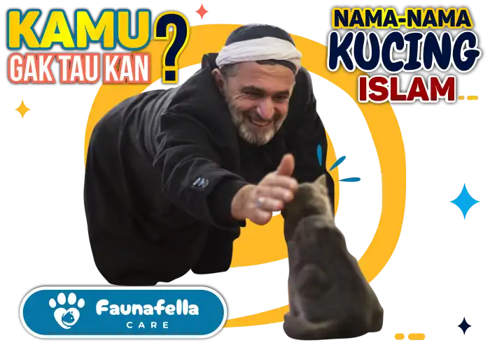 Ketahui Nama Kucing Islam