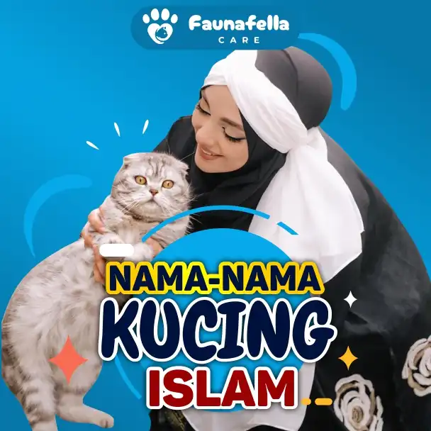 Kucing Kesayangan Islam