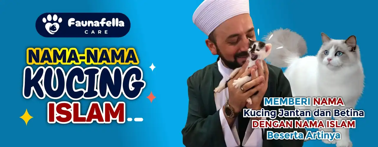 Memberi Nama Kucing Islam