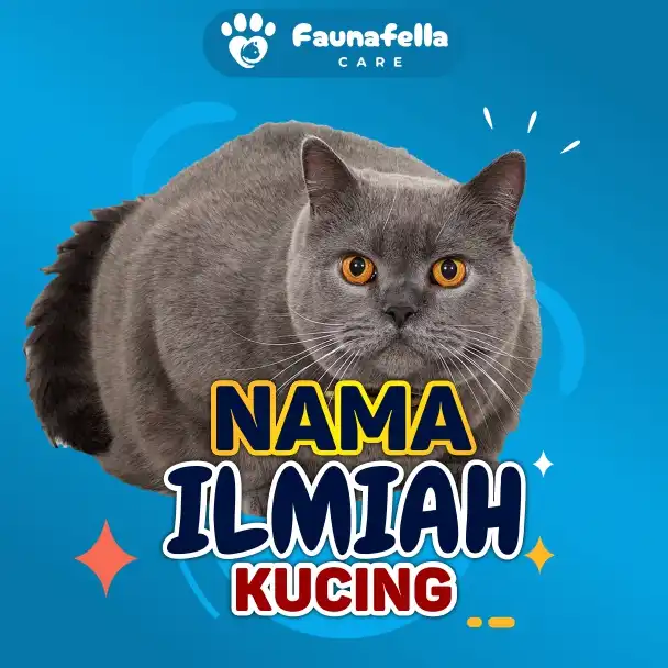 Nama Bahasa Latin Kucing