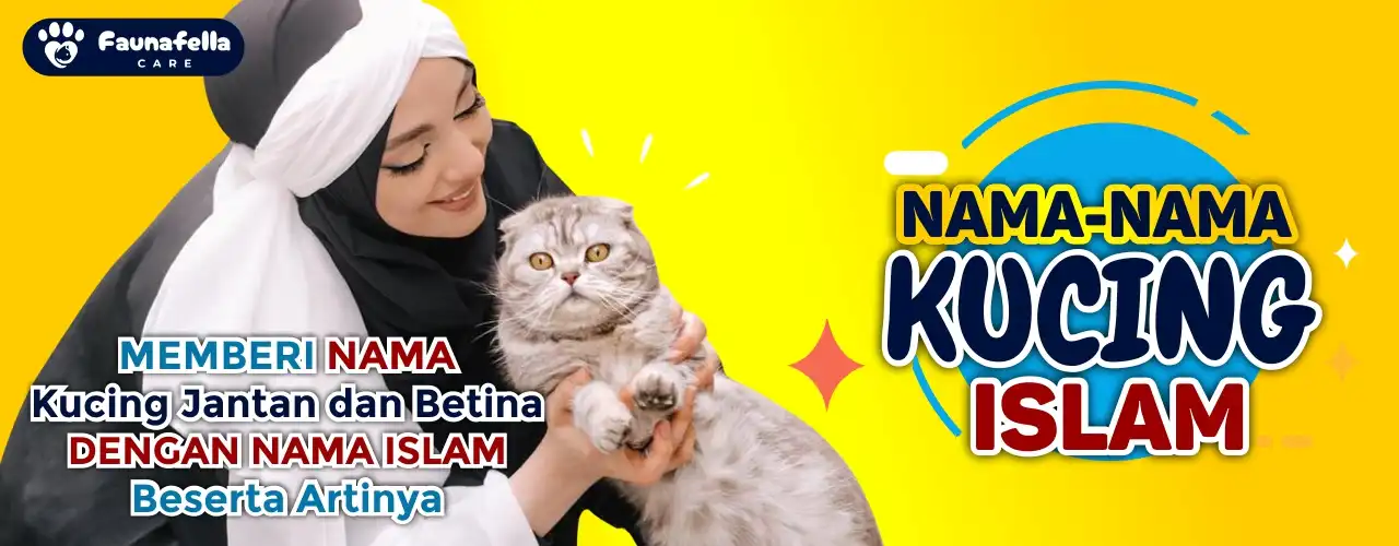 Nama Kucing Islam