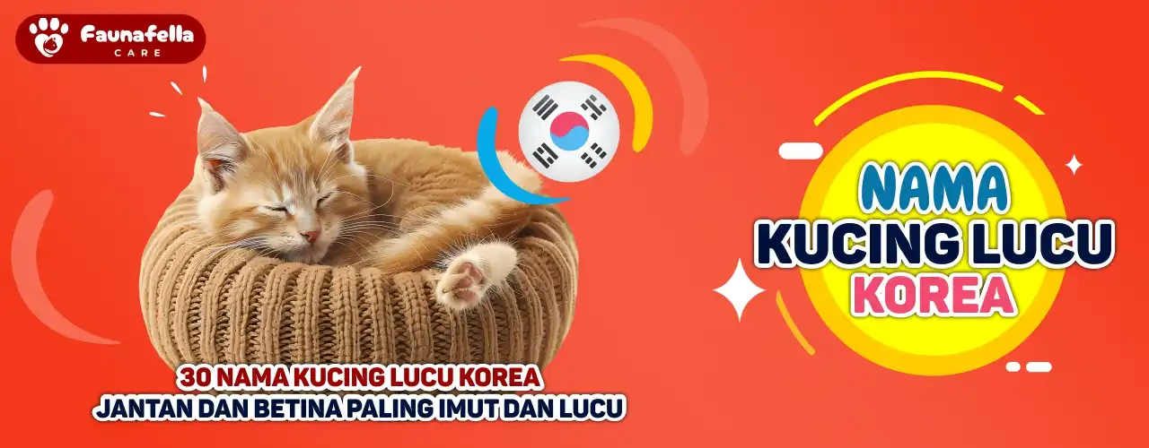 Nama Kucing Lucu Korea