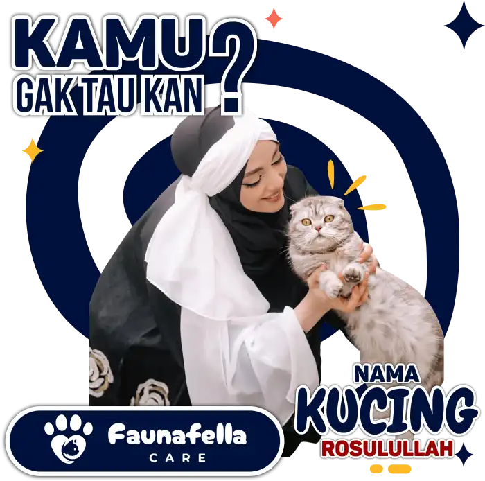Nama Kucing Nabi